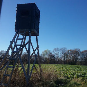 Meet your Posher, Carson